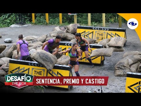 The Box Challenge 2022: Strength and Communication: Alpha and Beta compete for the Prize and the ...