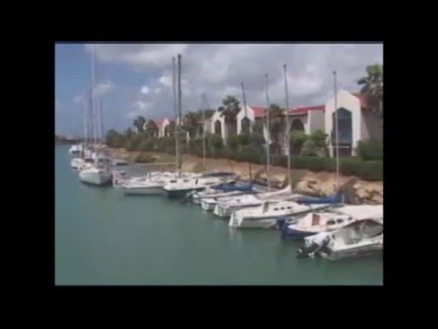 KöSHRiMP - Ariminum Niteclub '84