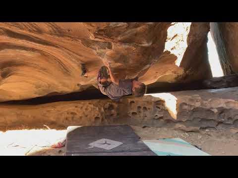 Schweror Gustov V10 (11/29/2020)