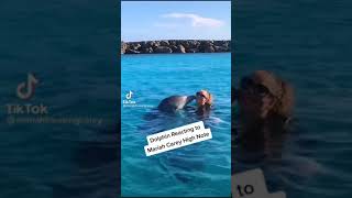 Mariah Carey whistle note with dolphins 😂funny moments