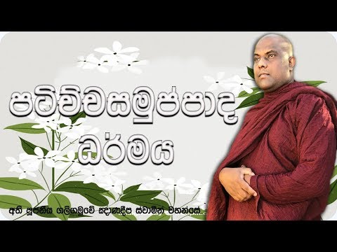 පටිච්චසමුප්පාද ධර්මය | Paticca-Samuppada | Ven Galigamuwe Gnanadeepa Thero