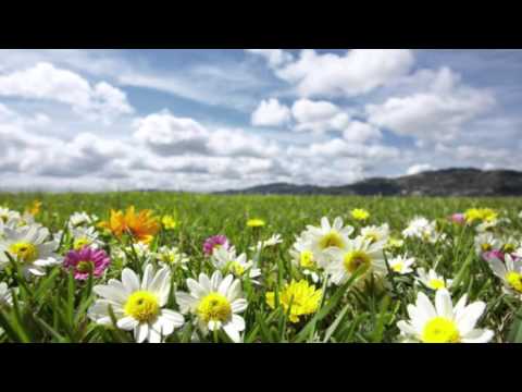 Love Song  -  Aquador Saxophone Quartet