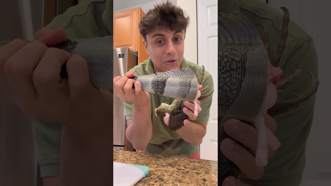 Cooking Massive Iguana