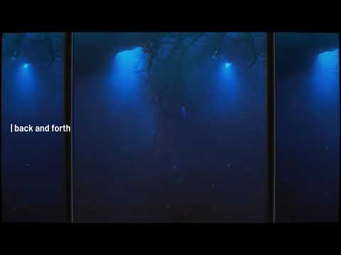 piedkies - back and forth