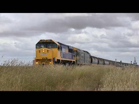 Broad Gauge Pacific National Grain Train At Gheringhap (11/12/2021) - PoathTV Australian Railways