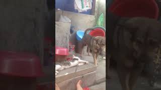 Ngày 01 tháng 06 năm 2018