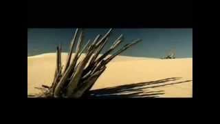 Apocalyptica Faraway Instrumental