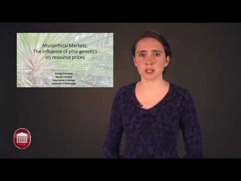 University of Mississippi Graduate School Mariah Meachum - 3 Minute Thesis Presentation 2014