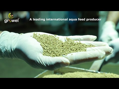 Pellets floating fish feed, packaging size: 40 kg