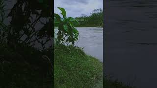 Download lagu story wa nglilakne kowe!!! #short #status #statuswhatsapp mp3