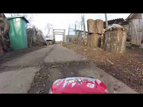 Mutze si catsei la Gottlob