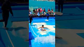 Ovation of the Seas l surfing🏄‍♂️🏄 l Lướt ván trên du thuyền #ovationoftheseas #cruise #shorts