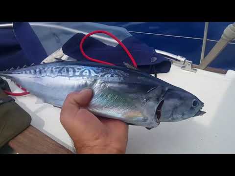 Fatih AKSU - Blue Horizon 8. Bölüm Kefalonia Zakintos