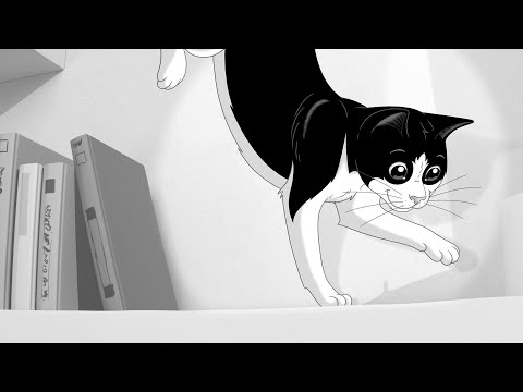 It's Great To Be A Cat