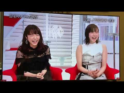 上白石萌音.萌歌 自宅でハモリ遊び スピッツ 楓