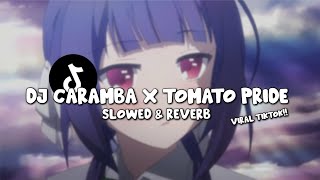 Download lagu DJ CARAMBA X TOMATO PRIDE (Slowed & Reverb) mp3 Download lagu DJ CARAMBA X TOMATO PRIDE (Slowed & Reverb) mp3