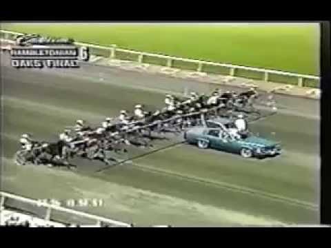 1994 Meadowlands GLEAM Hambletonian Oaks Final