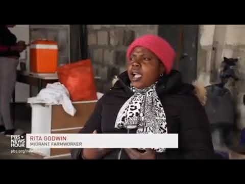 jungle life in Foggia Italy