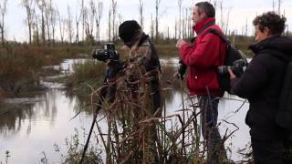 Workshop Natuurfotografie in de Biesbosch | Zoom.nl Fotografie Tips