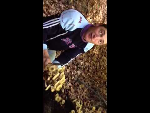 Ghebaru de la Gutinas