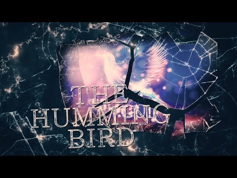 Tragul - The Hummingbird (Official Lyric Video)