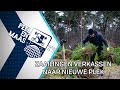Zaailingen verkassen naar nieuwe plek - 6 december 2021 - Peel en Maas TV Venray
