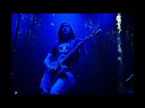 Matt Hollywood and The Bad Feelings - Nobody's Hurt