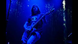 Matt Hollywood and The Bad Feelings - Nobody&#39;s Hurt ( 2018 )