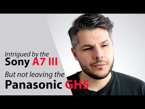 Sony A7III vs Panasonic GH5. My thoughts.