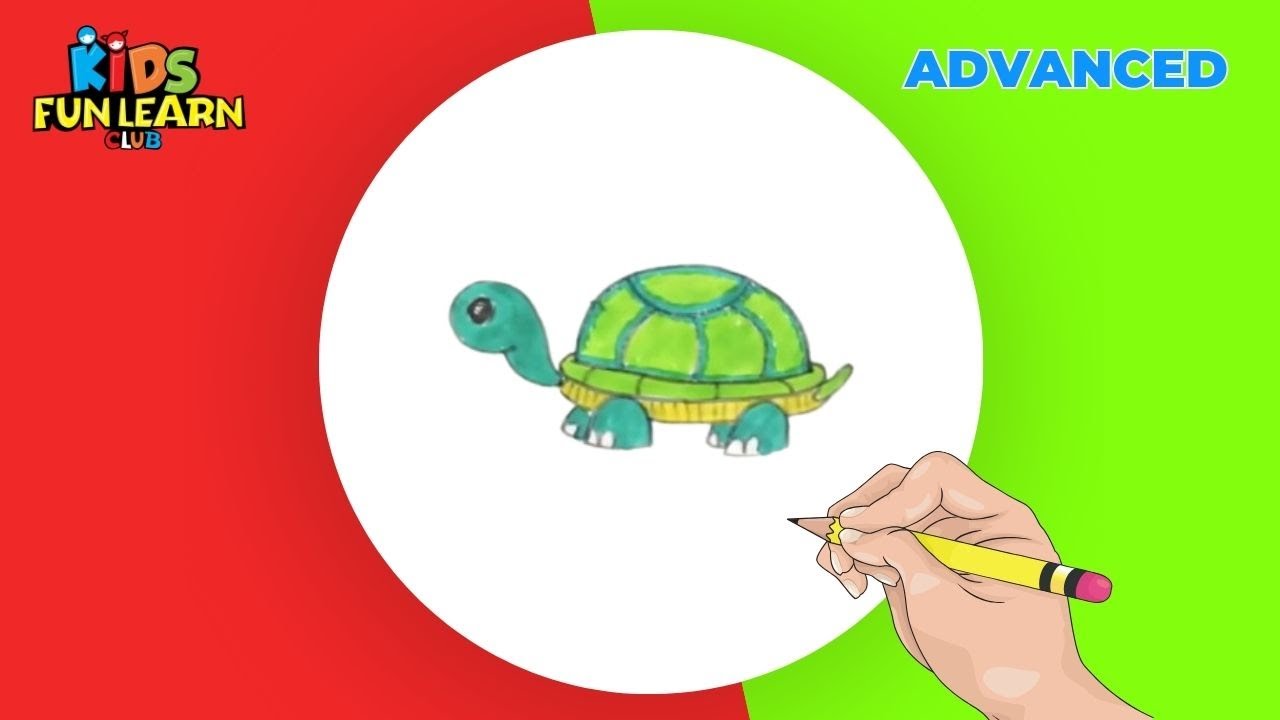 How to Draw Turtle