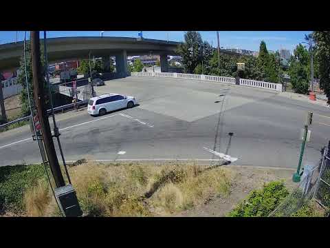 Maksim Zakharov Live Stream