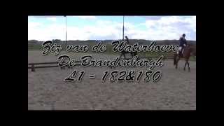 preview picture of video 'Ziz van de Waterhoeve, Groesbeek, Stal de Brandenburgh 18-04-2014'