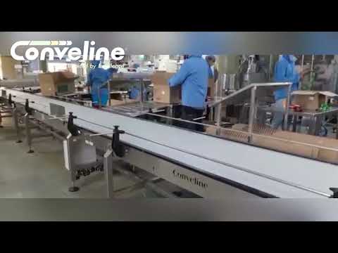 Modular Conveyor System