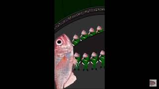 Fish — Season 3