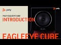 Poly Eagle Eye Cube 