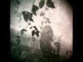 Tarwater - Perfect Shadow