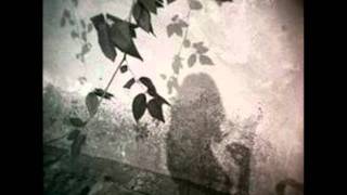 Tarwater - Perfect Shadow