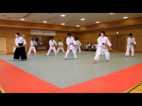 Aikido Jo Demonstration