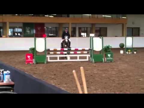 Camax L x Sibiran Express x Dinard L