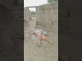 Pashto New Funny Video - #shorts