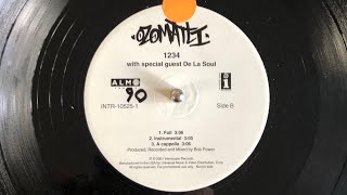Ozomatli w De La Soul 1234 og vinyl single