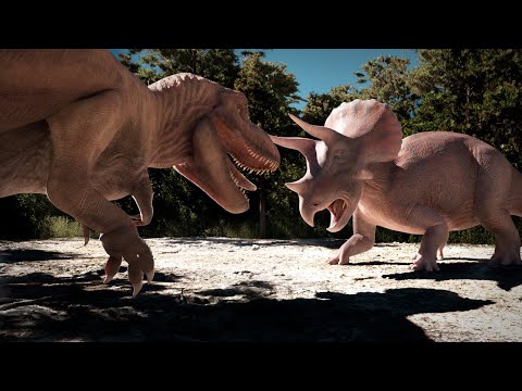 T. rex vs Triceratops (3D Animation)