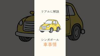 シンガポールで車は必要？🚖