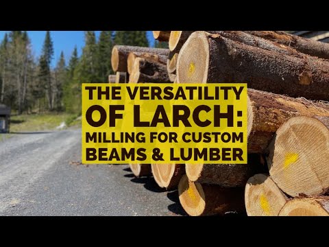 The Versatility of Larch: Milling for Custom Beams & Lumber