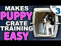 Picking The PERFECT Puppy Crate Training Location