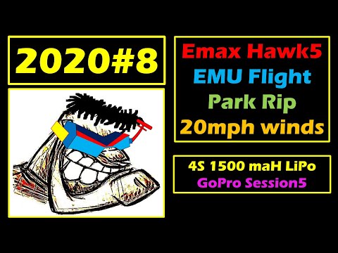 2020 #8 Emax Hawk5 Emuflight Wind Park RIP 2020 0607(Queensryche - Walk In The Shadows)