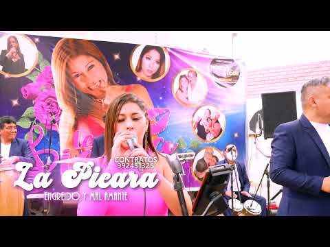 Engreído y Mal Amante - Cinthia Mendizábal La Picara en Concierto 2021