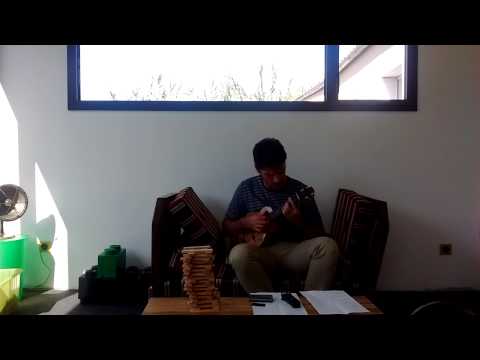 La maigrelette Amélie les crayons ukulele cover