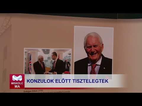 Videó előnézet