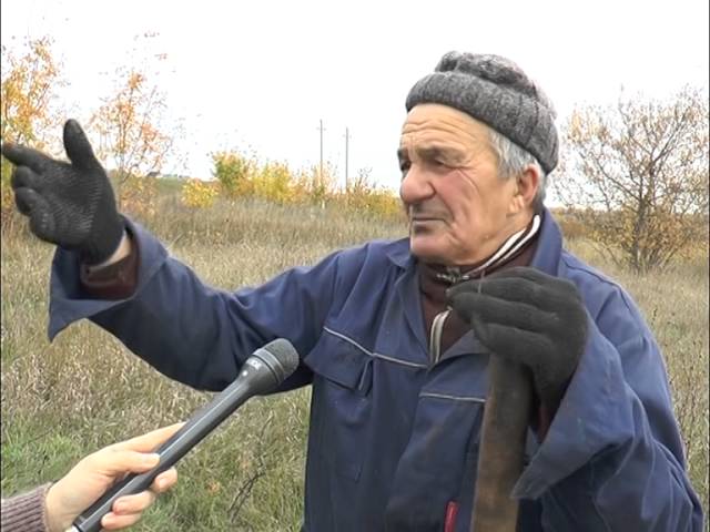В яблоневом саду у «Юлдаша» 